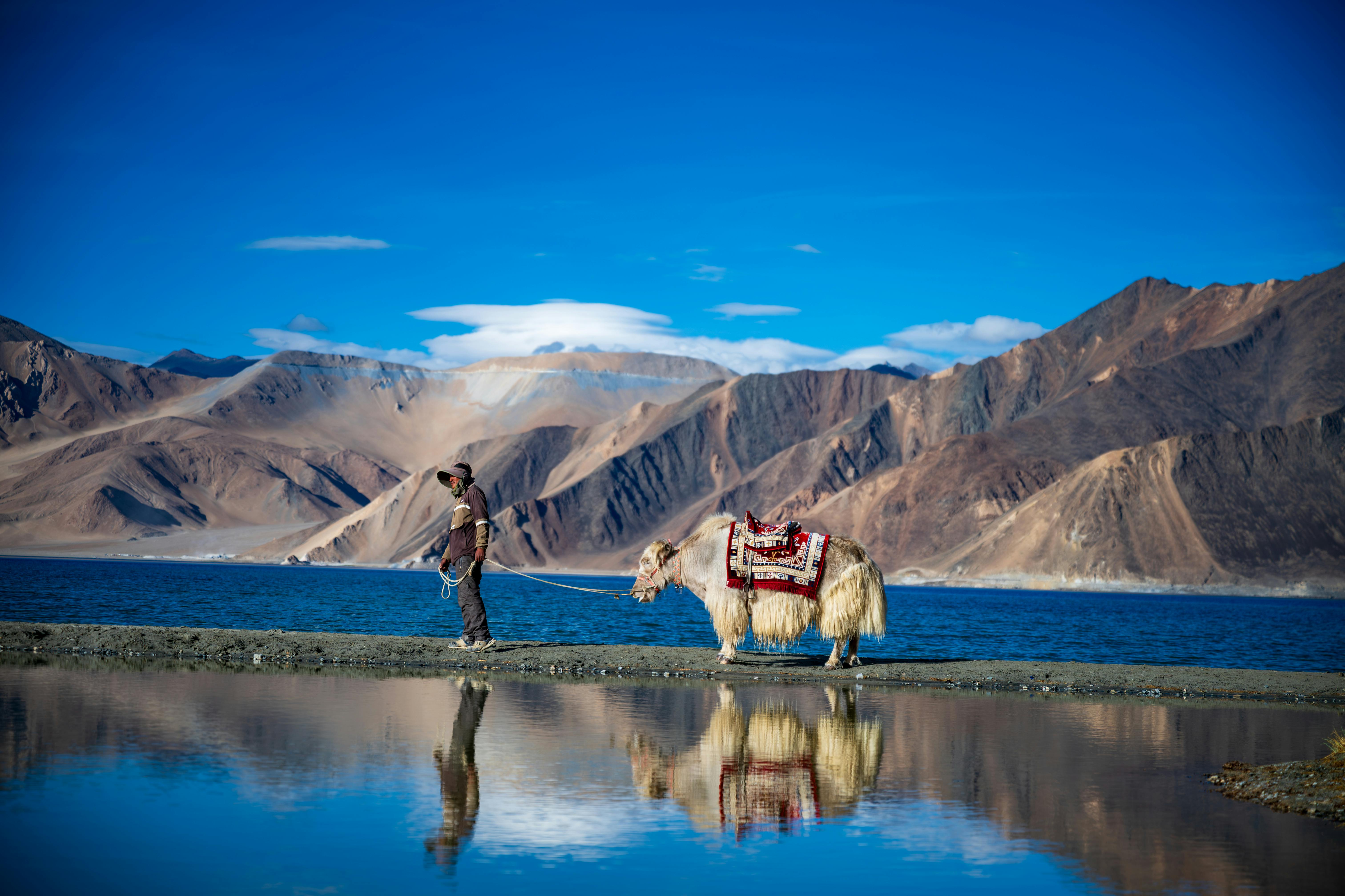 Snow-capped mountains, desert valleys, turquoise lakes