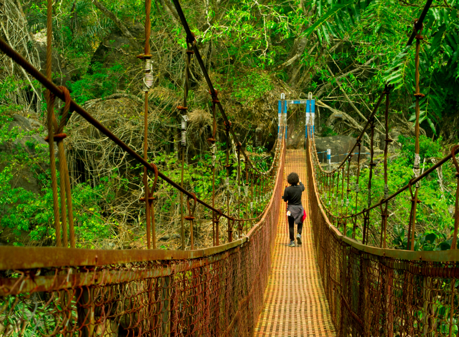 Living root bridges, waterfalls, crystal-clear rivers - 4