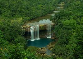 Living root bridges, waterfalls, crystal-clear rivers - 5